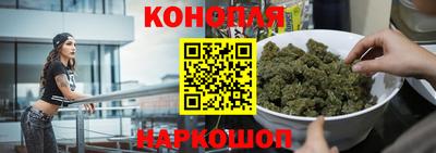 крисы Кунгур