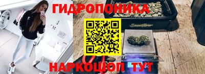 a pvp Кулебаки