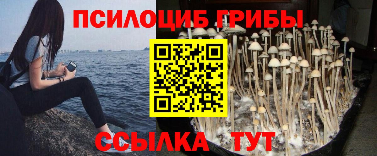 Псилоцибиновые грибы GOLDEN TEACHER Елабуга