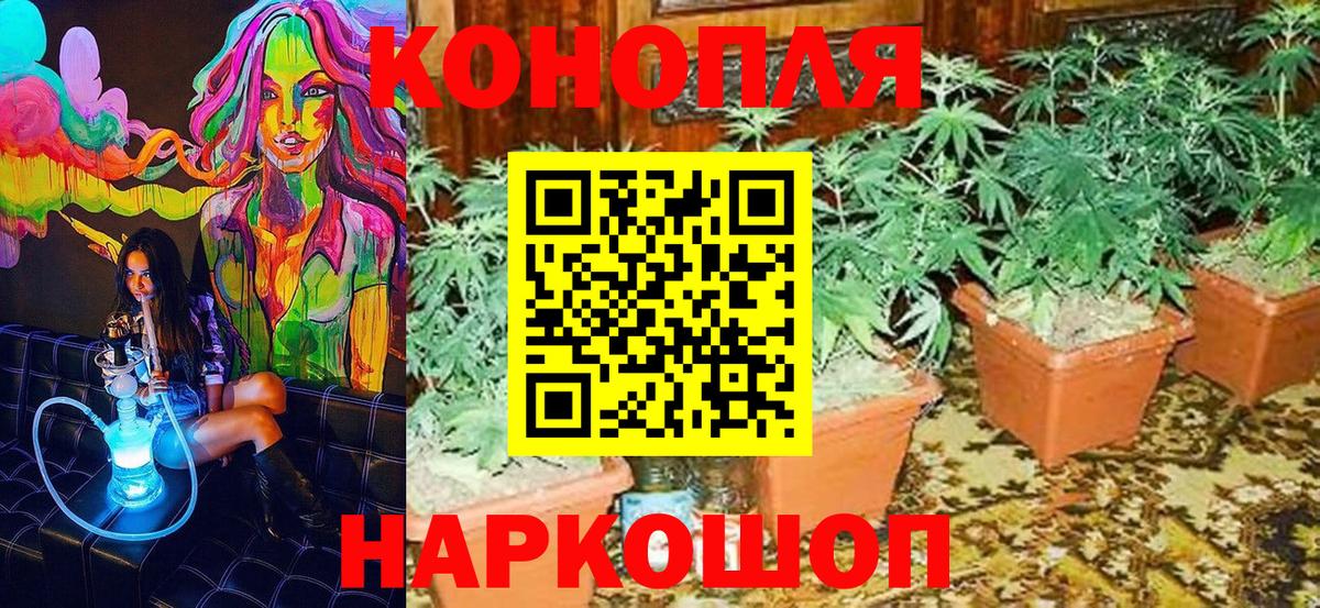 Шишки марихуана семена  Каннабис VHQ  Марихуана индика  Елабуга  Вход с VPN  Бошки Шишки MAZAR 
